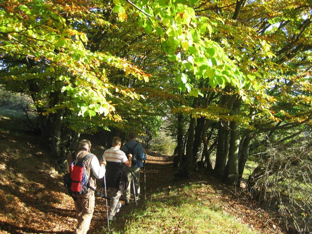 Ferienwohnung Panorama Rauenstein Eksteriør bilde