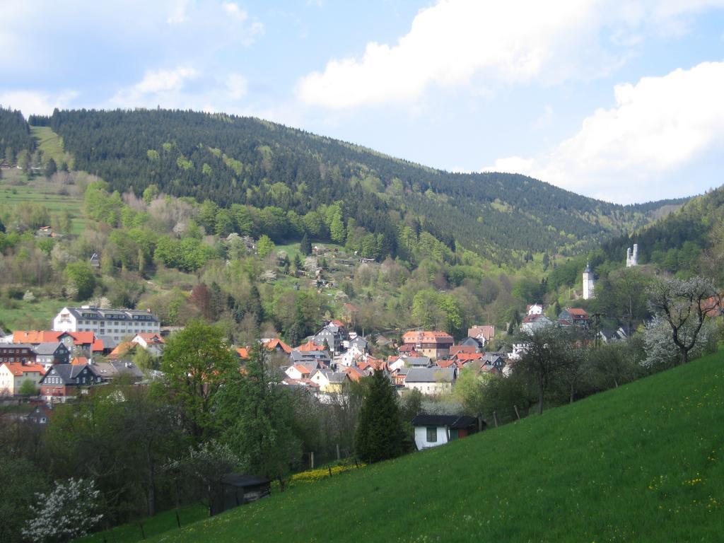Ferienwohnung Panorama Rauenstein Eksteriør bilde